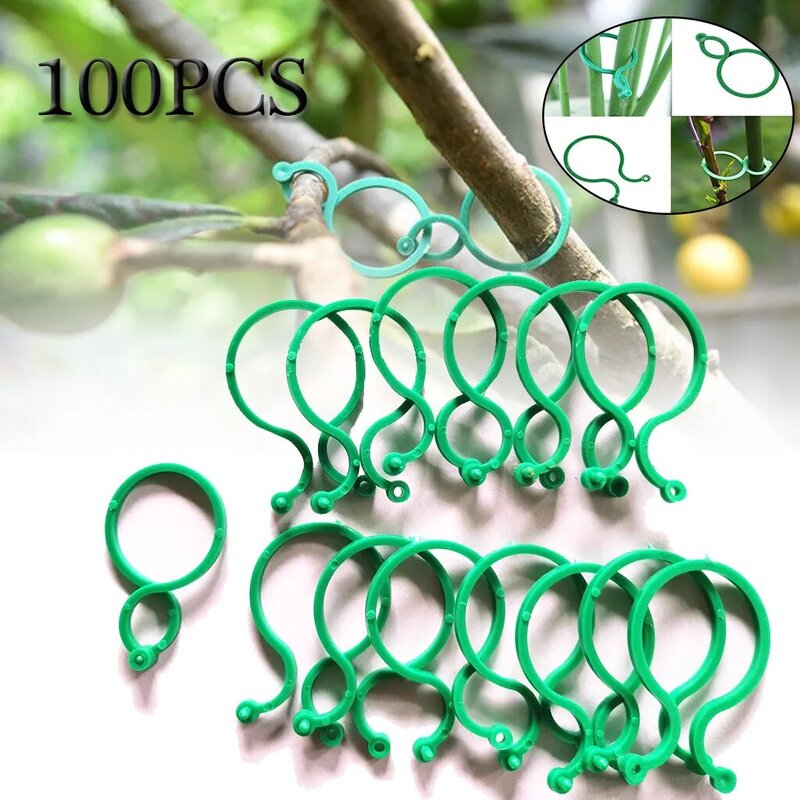 Clips de flejado de vid para huerto y jardín, herramienta de anillo con hebilla Bundled, 100 Uds.