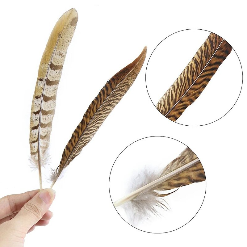 Multiple Style Natural Pheasant Chicken Feathers DIY Stage Performance Decoration Carnival Jewelry Accessories Plumes For Crafts
