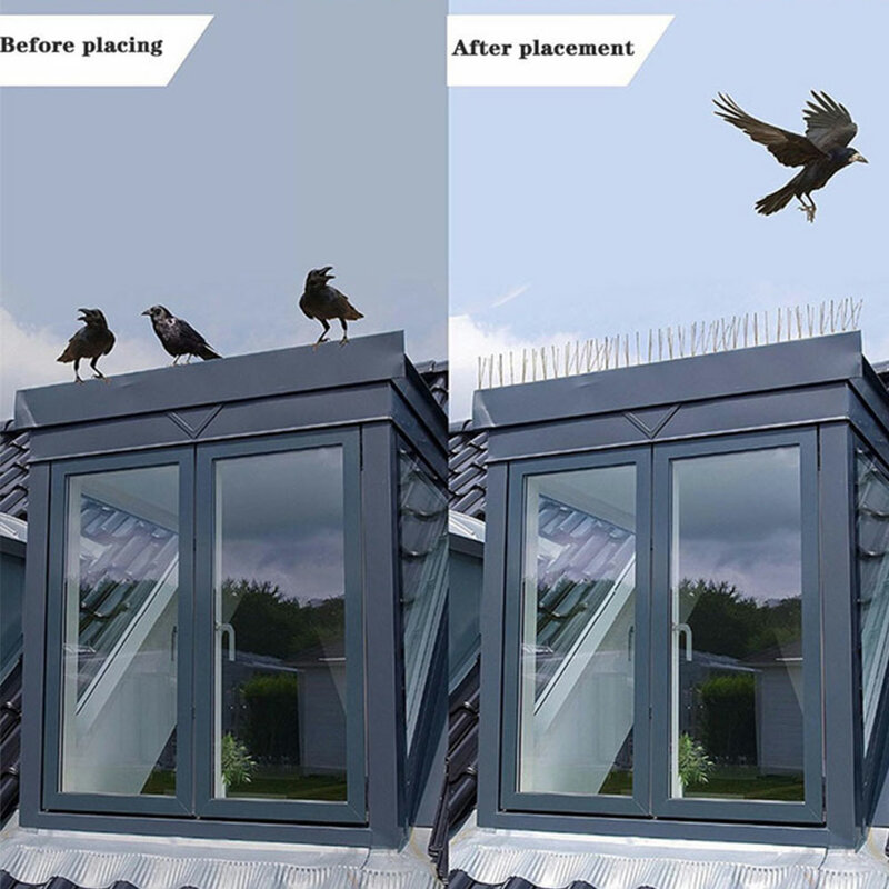 สแตนเลส Bird Repellent Spikes Anti Pigeon Nail Bird Deterrent เครื่องมือการควบคุมศัตรูพืชนกพิราบนกฮูกนกขนาดเล็กรั้ว Repeller
