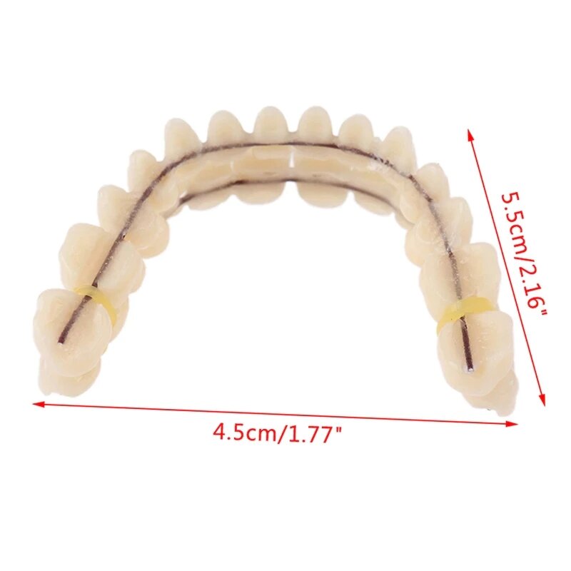 Dentadura Artificial de resina para el cuidado de la dentadura, dentadura Artificial premoldeada sintética para el cuidado de la dentadura, 28 unids/set