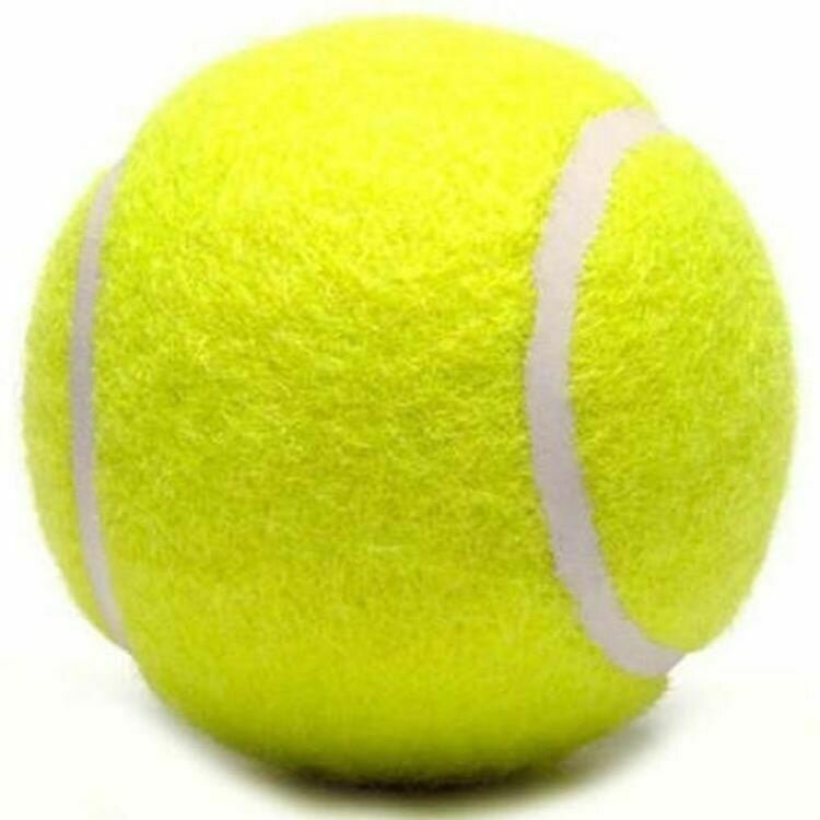 كرات التنس الرياضة تلعب لعبة الكريكيت دمية على شكل كلب الكرة في الهواء الطلق متعة الشاطئ الترفيه جديد