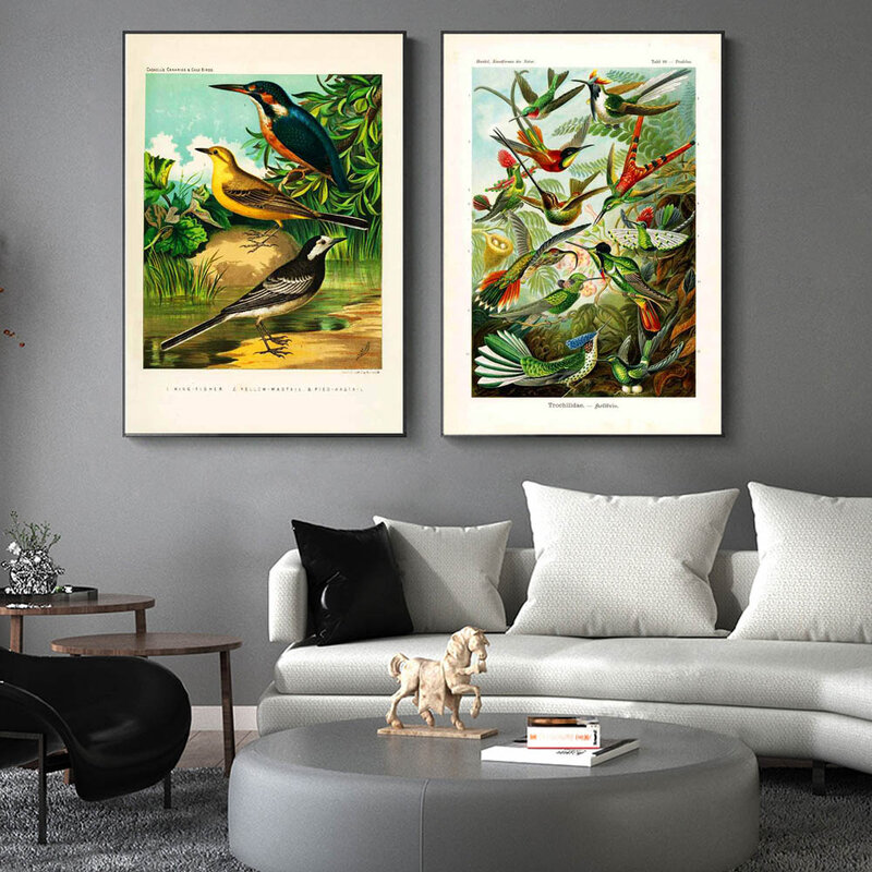 Pintura en lienzo de arte RETRO nórdico, póster de ciencia voladora de pájaros, cocina, sala de estar, pasillo, pintura de pared, decoración del hogar, mural