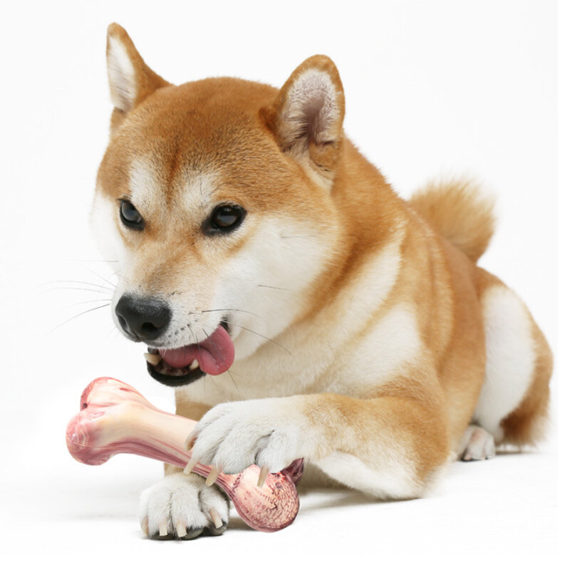Brinquedos não tóxicos osso roer e molar haste simulação pequeno médio grande cão pet mastigar brinquedos interativos cão brinquedos osso natural