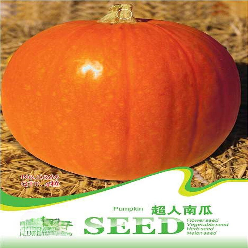 4 pces 24 tipos de sementes de abóbora, escolha uma enorme abóbora e um alto rendimento pesando 20 quilogramas