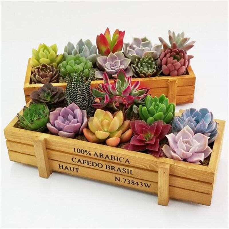 Macetero de madera para flores y hierbas, maceta suculenta, caja de canal rectangular, cama para plantas, gran oferta