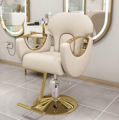 New popular style luxury hydraulic salon modeling chair golden barber chair