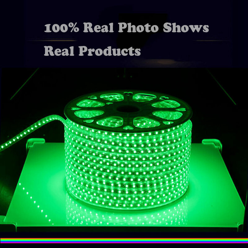 GD 16-50M RGB LED Streifen 60 LEDs/M 5050 220V Farbe Veränderbar LED Licht Band IP67 Wasserdichte LED Seil Licht + Fernbedienung