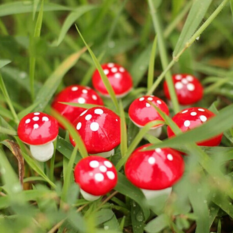 Mini cogumelo artificial de 2cm, decoração artesanal em resina para jardim de fadas em terrário