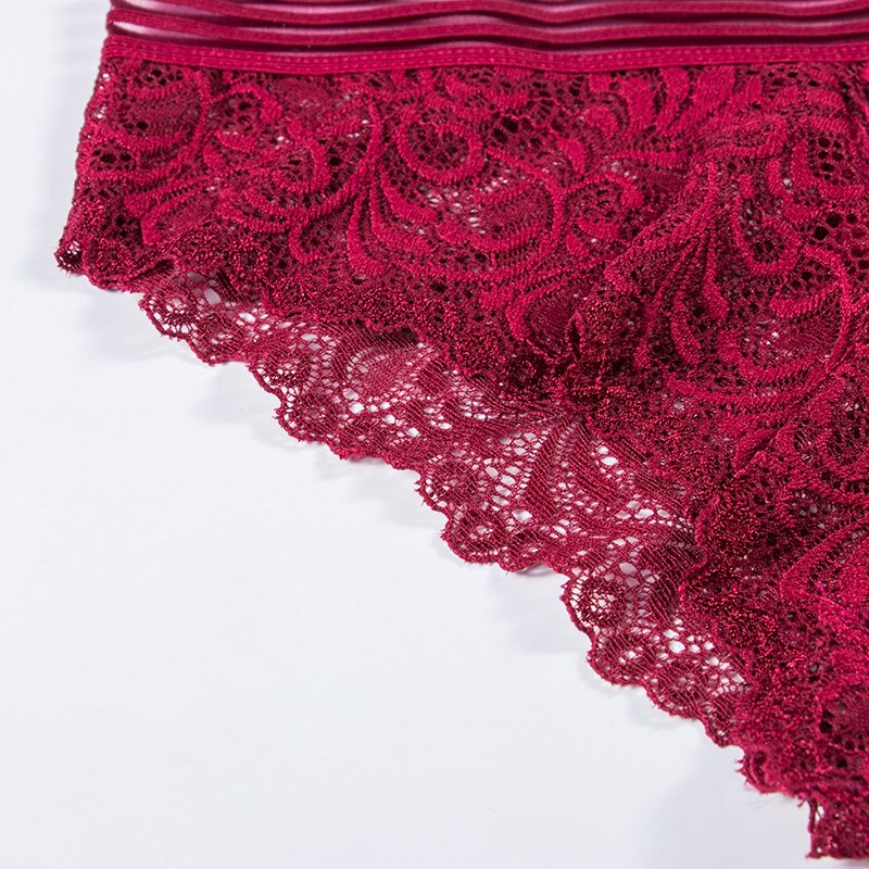 Transparent Lace Bra and Panty Set Women Sexy Lingerie Intimates Ladies Underwear Set Fashion Bra & Brief Sets Solid Color