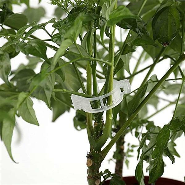 Gesicherter Pflanzen Kunststoff 클립 플라스틱 식물 클립 지원 재사용 가능한 보호 접목 고정 도구 원예 Su