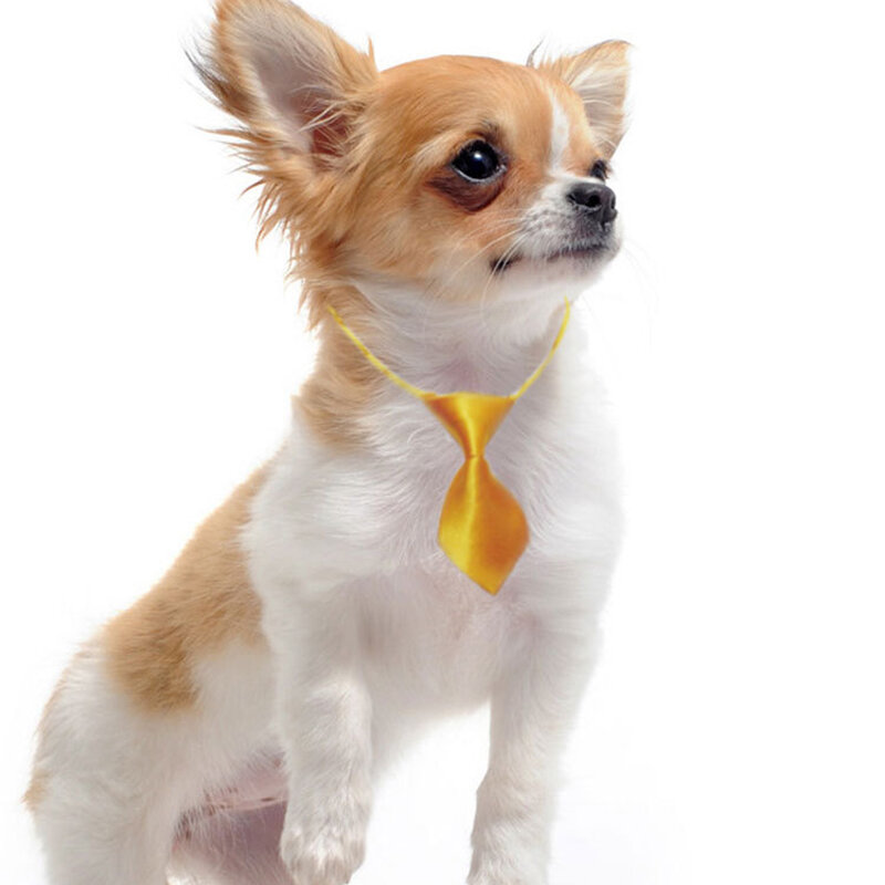 Commercio all'ingrosso colore della miscela Pet Cat Dog Bow Tie Puppy Grooming Products accessori per cani regolabili archi per cani di piccola taglia gatti forniture per animali domestici