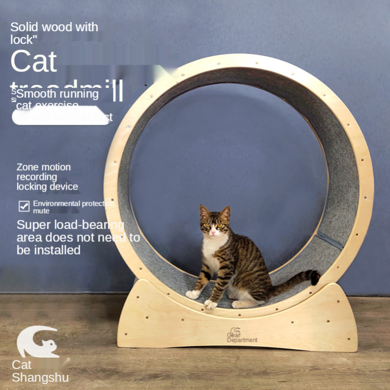 애완 동물 러닝 머신 고양이 단단한 나무 고양이 등반 프레임 고양이 장난감