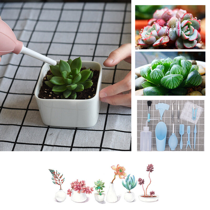 16pcs strumenti per piantare succulente Mini forniture per giardinaggio Mini attrezzi da giardino in vaso