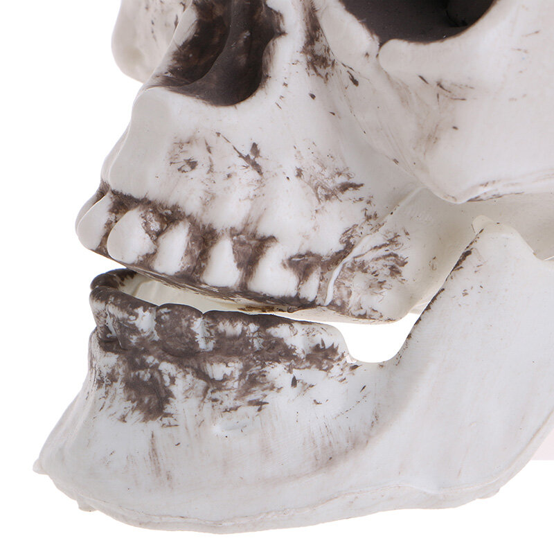 Plástico humano mini crânio decoração prop esqueleto cabeça halloween barras de café ornamento