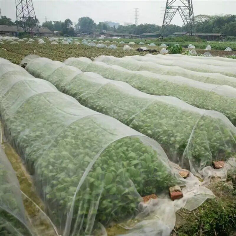 Rete protettiva per serra frutta verdura copertura per la cura rete per insetti coperture per piante rete per il controllo dei parassiti del giardino rete a rete anti-uccello