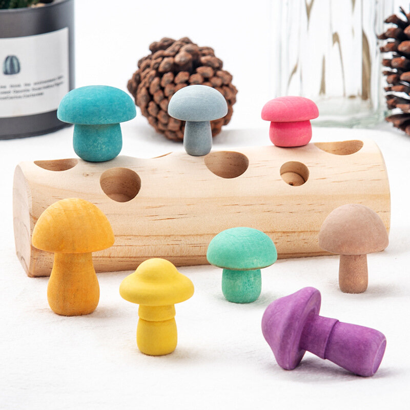 Wooden Rainbow Blocks Mushroom Picking Game Montessori Educational Wooden Baby Toys Developmental Shape Matching Assembly Toy