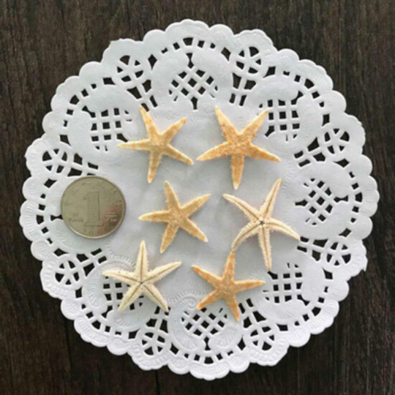 25pcs decorazioni artigianali di stelle marine naturali Mini ornamenti 3cm-5cm per micro-paesaggio