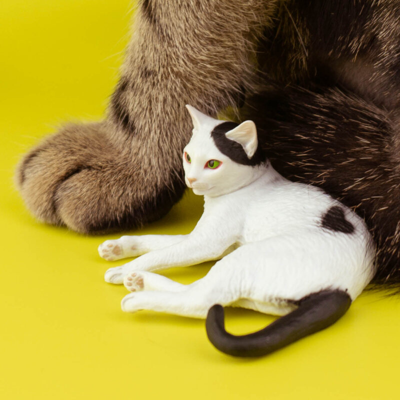 اليابان كيتان غاشابون كبسولة اللعب كيتان كلوبي لطيف الأبيض القط الجدول الحلي الديكور نموذج القطط Moriguchi's Cat