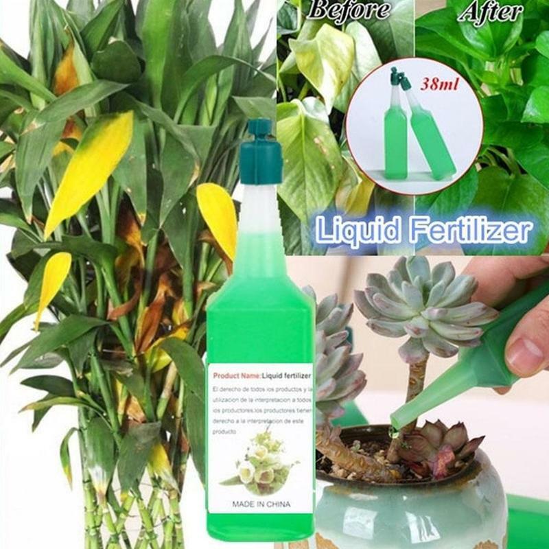 Fertilizante de solución nutritiva para plantas hidropónicas, fertilizante rico de flores de bambú en maceta, fertilizante de semillas Foliar concentrado verde