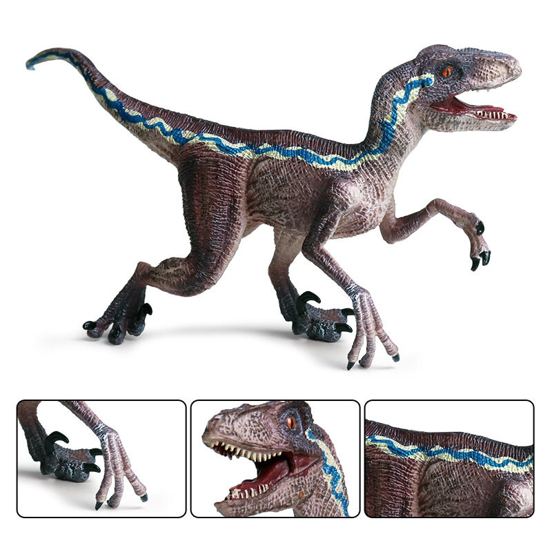 시뮬레이션 벨로키랍토르 공룡 모델 액션 피규어 컬렉션인지 교육 완구, 어린이 소년 선물