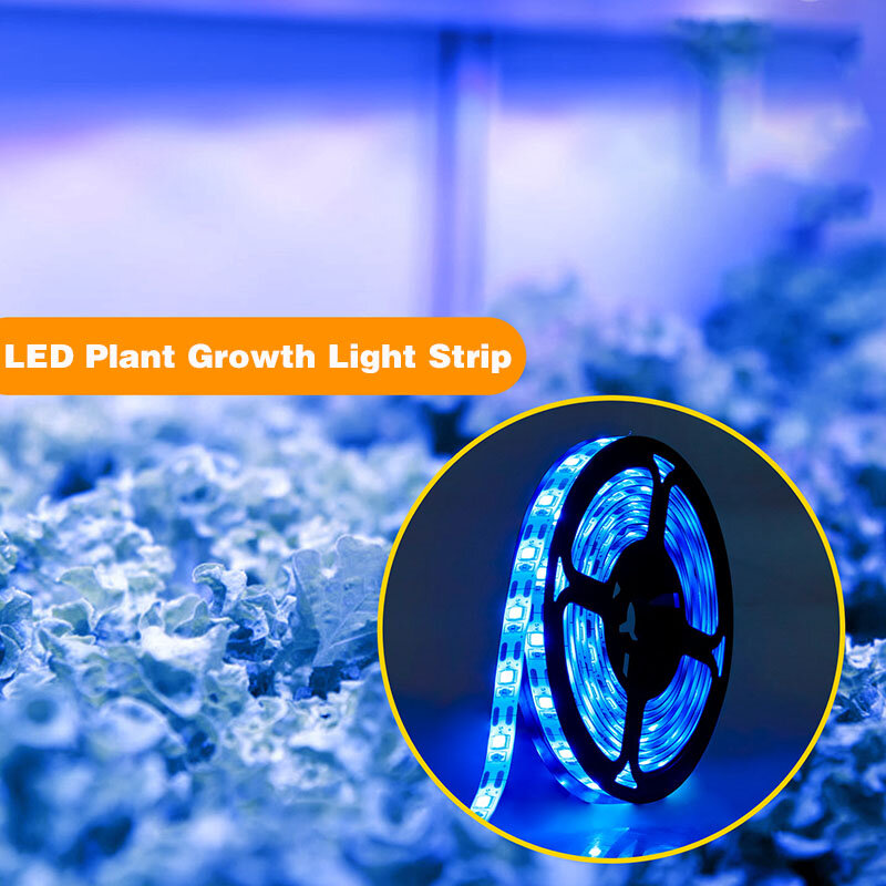 0.5M/1M/2M/3M-LED Plant Grow Light Usb Volledige Spectrum Phytolamp Strip 2835 Smd DC5V Voor Phyto Zaad Bloem Kas Lamp Tape