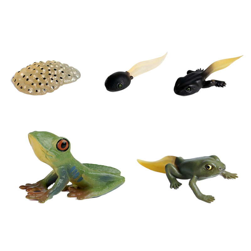 플라스틱 어린이 곤충 사이클 그림 개구리 동물 성장 모델 플레이 세트, 사전 학교 학습 상상력 생물학 장난감 파티 호의