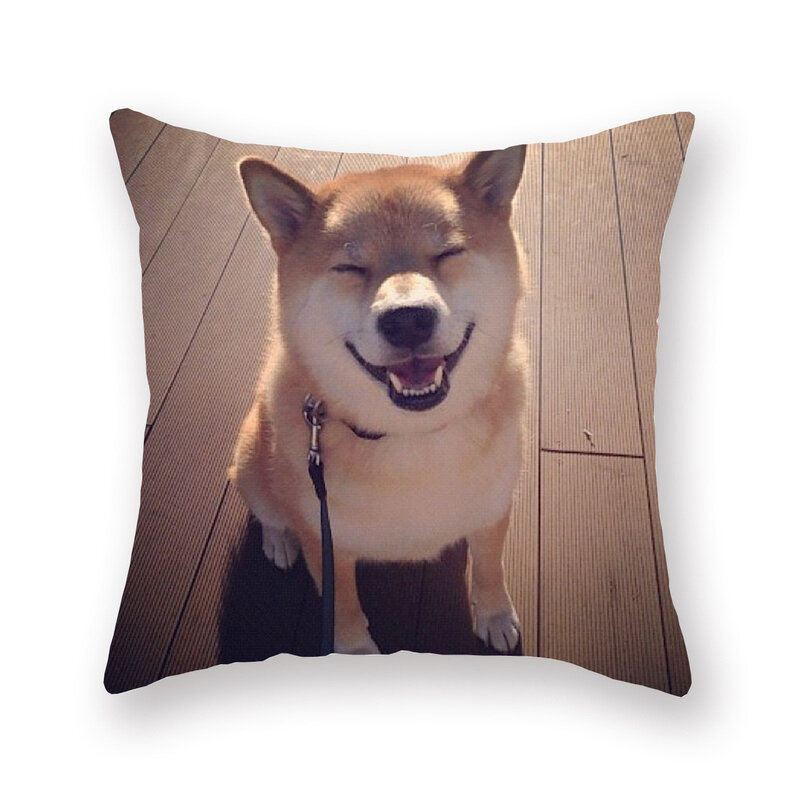 Cushion Product patterns can be customized  Pillowcases Print Pet Wedding Personal Life Photos Customize Gift Home Cushion