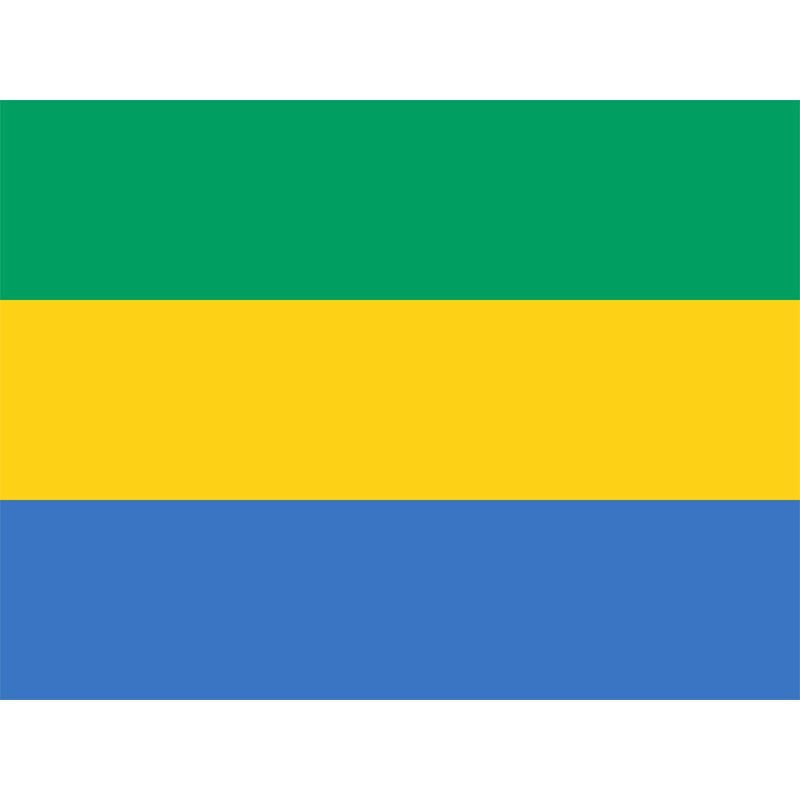 Gabon Flag Yehoy  90*150cm For Decoration