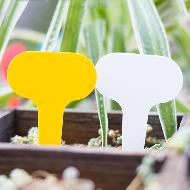Etiquetas plásticas para vasos de plantas, etiquetas tipo t reutilizáveis para berçário de plantas, etiquetas de marca para jardinagem, assinatura de jardim com 100 peças