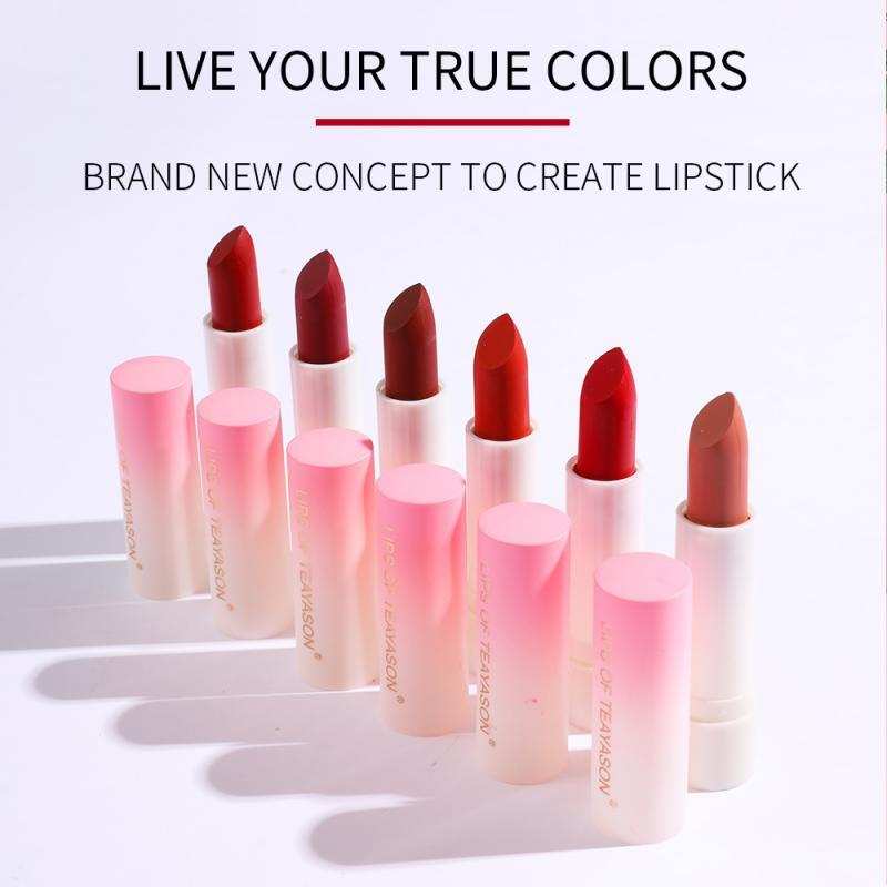 Moda 6 cores fosco retro vermelho pêssego batom à prova dwaterproof água lábios maquiagem verão compõem cosméticos de longa duração cor bloqueio tslm1