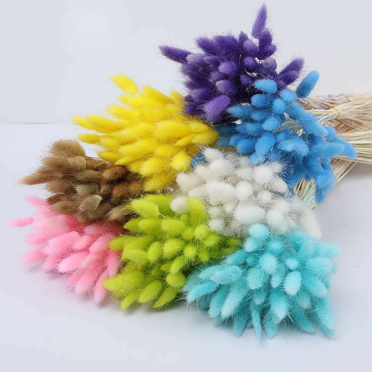 INS Fengyun South Dried Flower Ornaments Eternal Rabbit Tail Bouquet Multi-Color Available in Stock