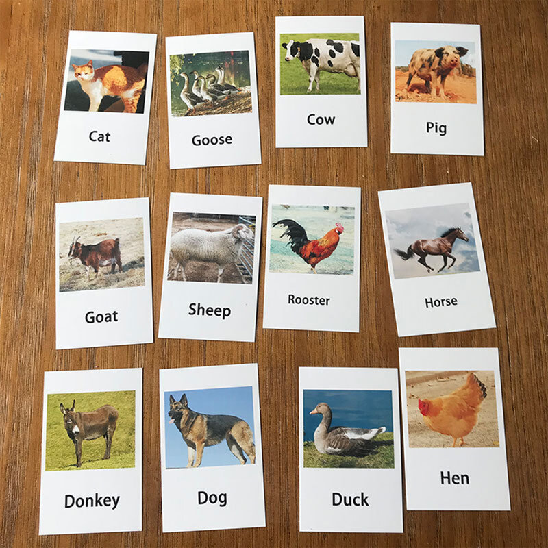 12パックモンテッソーリ学習家禽家禽動物モデルマッチングカード