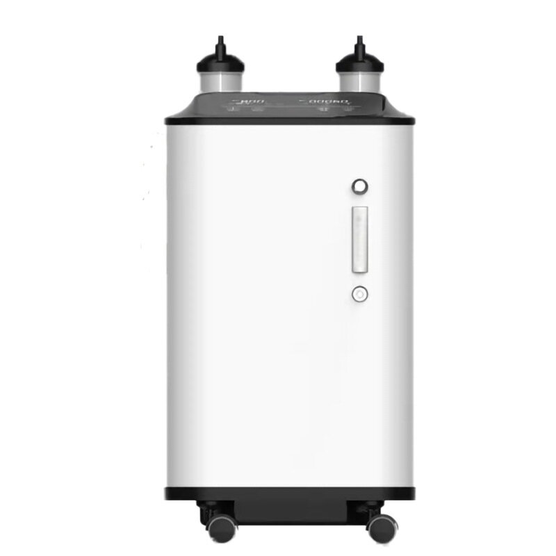 Concentrateur d'oxygène réglable ZY-10ZW 10L Version anglaise, soins, bouteille d'eau, Double Tube de respiration