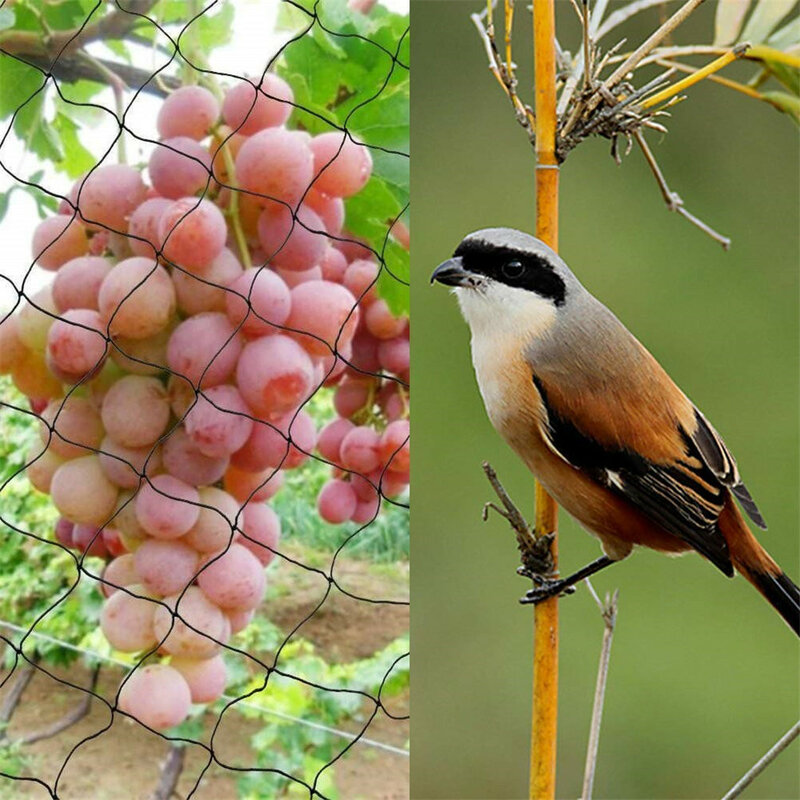 2021top home decoração de pássaros rede de jardim resistente protege plantas e árvores frutíferas rede de proteção