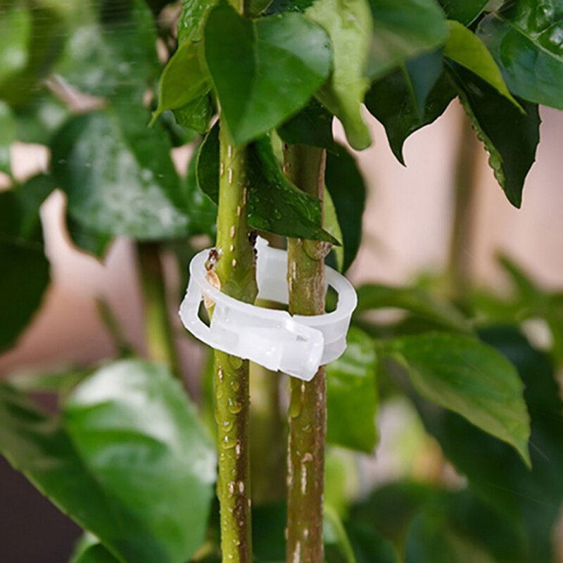 50 Teile/satz Reusable Plastic Anlage Untersttzung Clips Pflanzen Hngen Reben Garten Gewchshaus Gemse Tomaten Clip