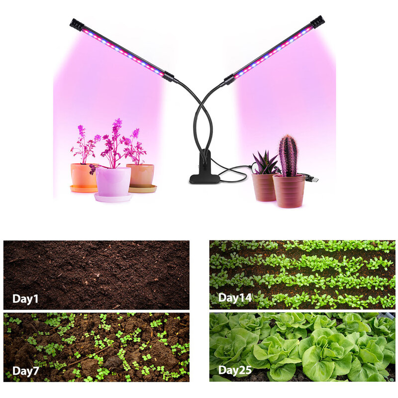 Luz de cultivo USB de 5V, de espectro completo fitoamplificador, lámpara de cuatro cabezas para plantas, plántulas, flores, verduras, cultivo en interiores, luz roja y azul