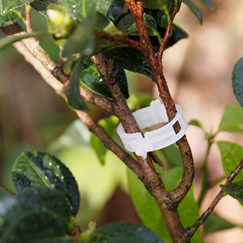 Klip Tanaman Plastik Dapat Digunakan Kembali Mendukung Menghubungkan Perlindungan Pencangkokan Memperbaiki Alat Berkebun Persediaan untuk Sayuran Tomat
