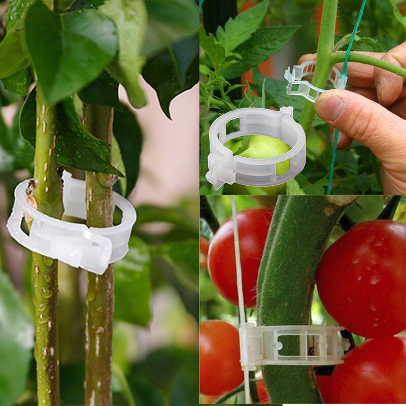 50/100/200Pcs 23Mm Plastic Plant Ondersteuning Clips Klemmen Voor Planten Opknoping Wijnstok Tuin Kas Groenten tomaten Clips