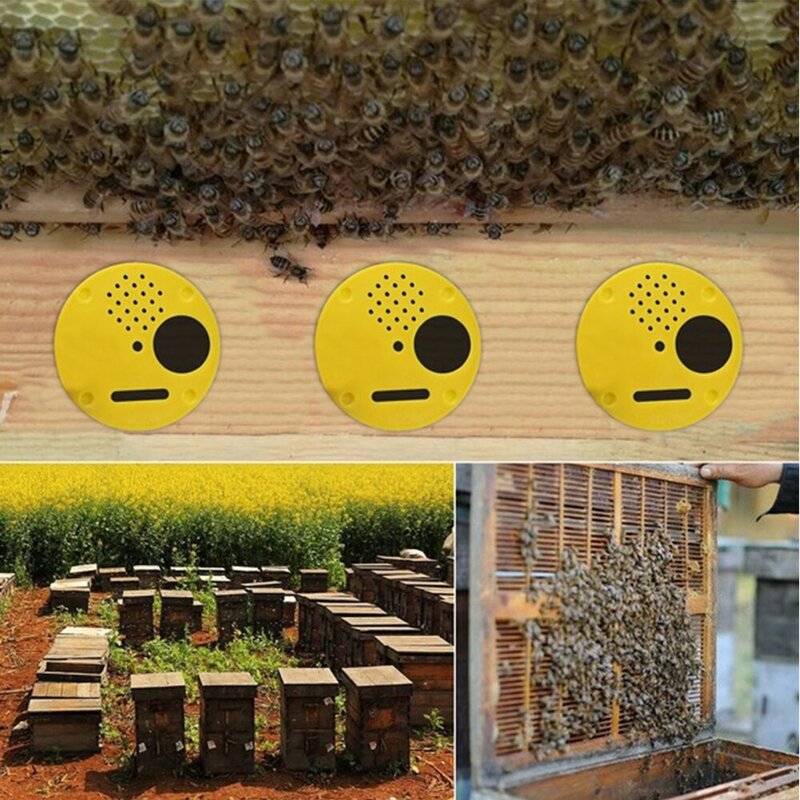 12 Uds caja colmena redonda disco de puerta de entrada Puerta de nido de abeja de plástico puerta de entrada de nido de abeja equipo de herramienta de Apicultura