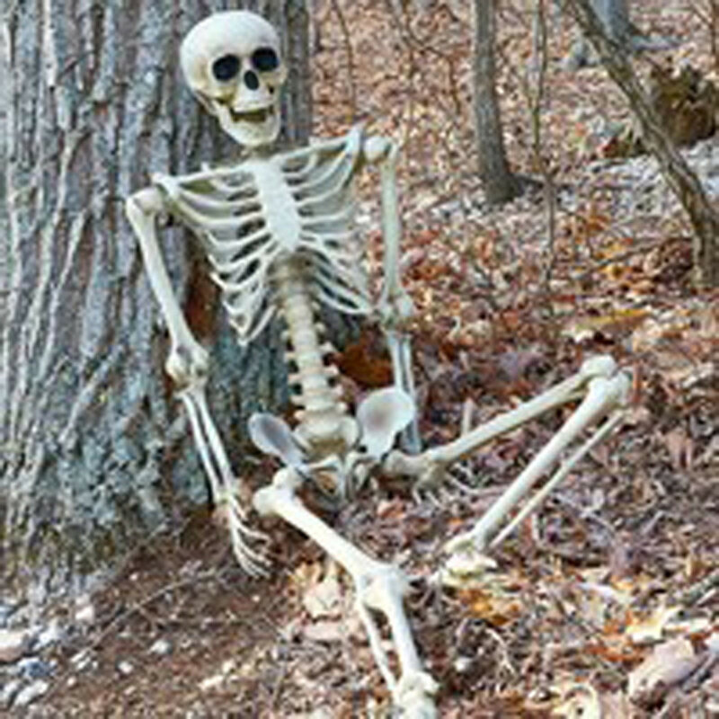 ฮาโลวีนProp Life Skull Skeleton Fullขนาดนั่งและยืนมนุษย์ชุดตกแต่งฮาโลวีนสำหรับเพื่อนW813