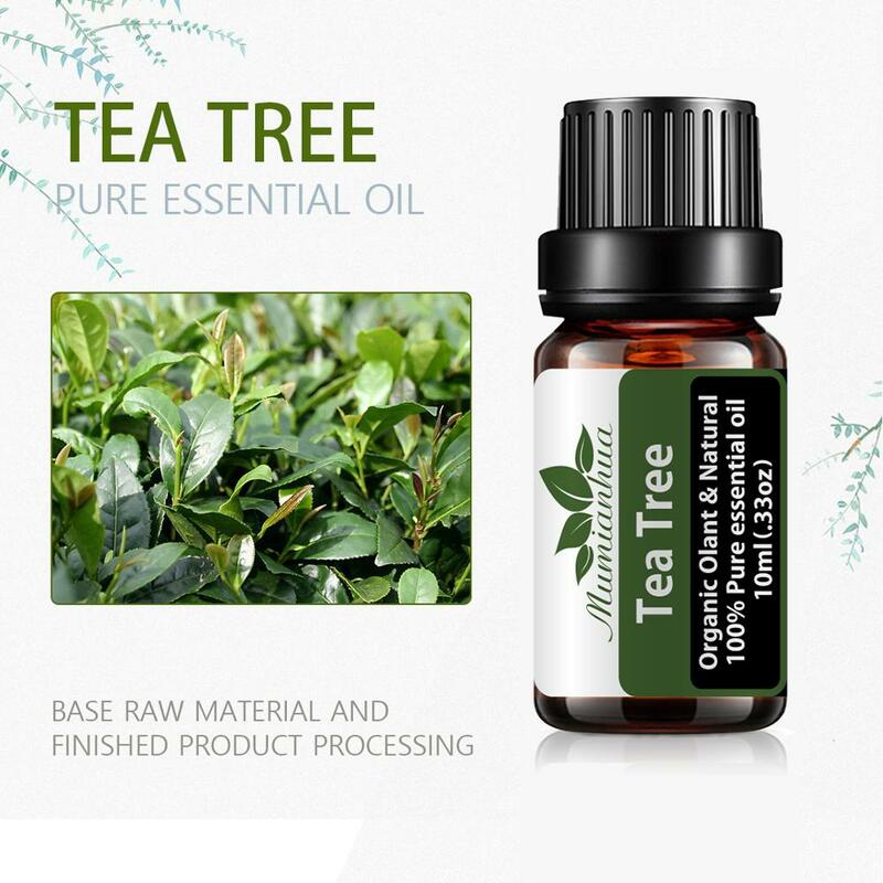 Olio essenziale aromatico 10ML oli essenziali naturali puri aromaterapia Patchouli eucalipto vaniglia menta chiodi di garofano olio dell'albero del tè