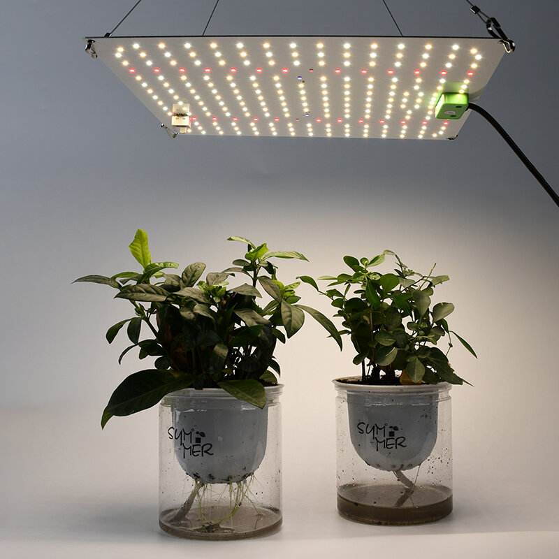 クォンタムLED温室ライト,フィトパネル,フルスペクトル,65W,屋内植物用の植物ランプ