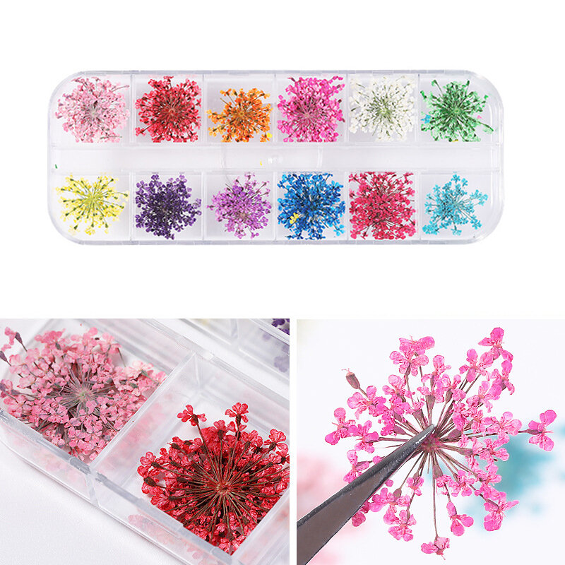 1 scatola 3D fiore essiccato decorazione per unghie adesivo floreale naturale misto fiore secco fai da te Nail Art decalcomanie gioielli UV Gel Polish Manicure