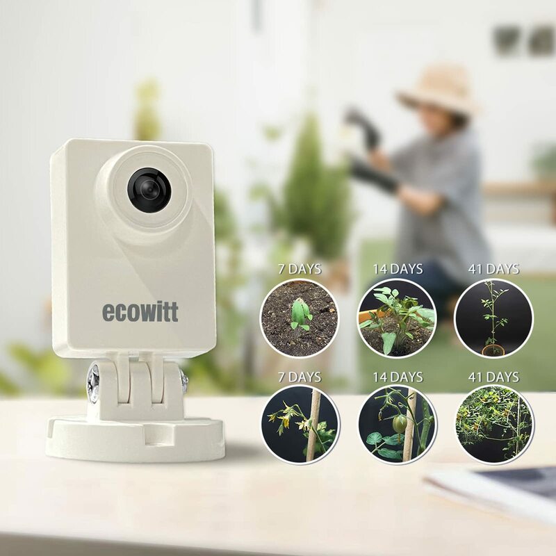 Ecowitt WittCam 야외 기상 카메라, 식물 성장 모니터링, 날씨 변화, 수위 변화, IP66, 앱 제어, HP10