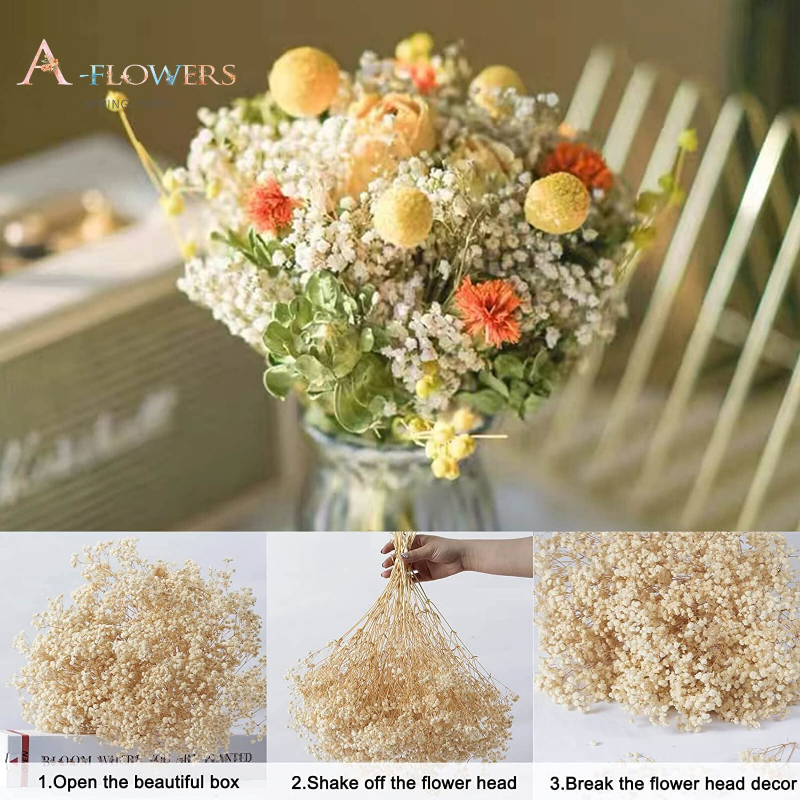 Dried Flowers Baby's Breath Valentines Day Gift Gypsophile Bouquet Wedding Decoration Garden Party Colorful Diy Boho Home Decor