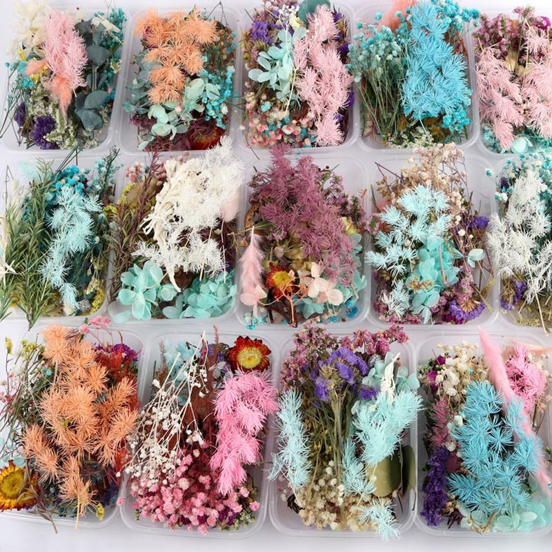 Colorful Real Dried Flower Plant 17x13cm/BOX Random Color For Making Aromatherapy Candles Epoxy Resin Pendant Jewelry DIY Craft