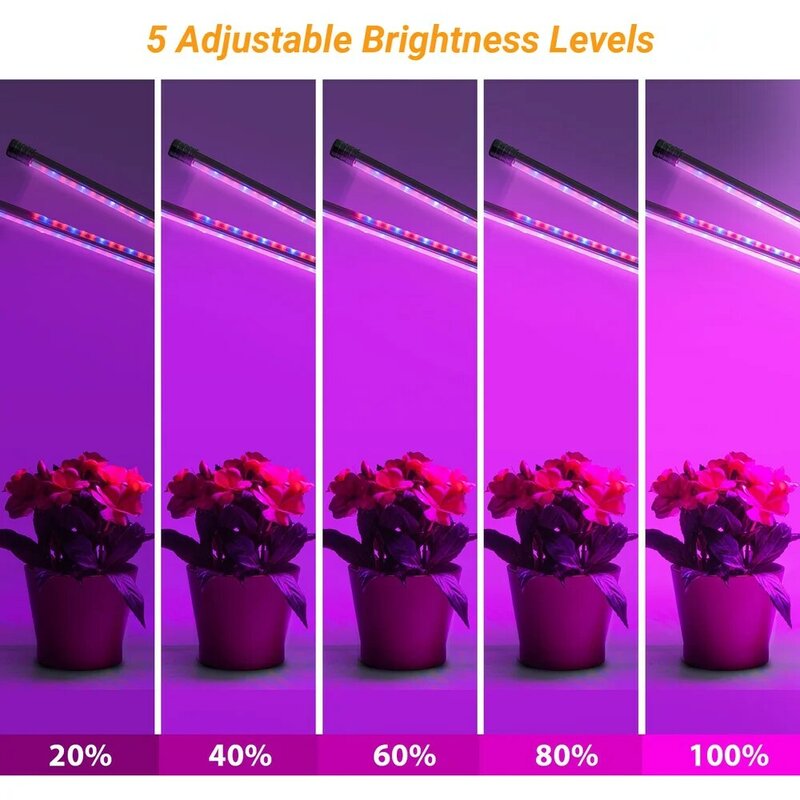 Lampe de croissance d'intérieur rouge et bleue, USB 5V, phytolampe à spectre complet, quatre têtes, pour semis de plantes, fleurs, légumes