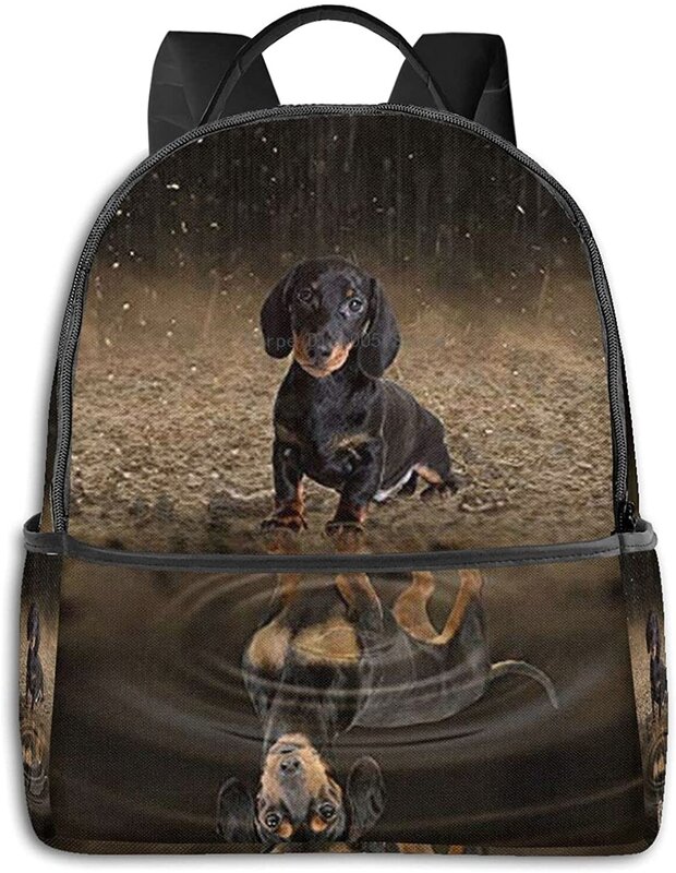 Cute Dachshund Multifunctional Backpacks, Business And Travel Laptop Backpacks 14.5x12x5 In