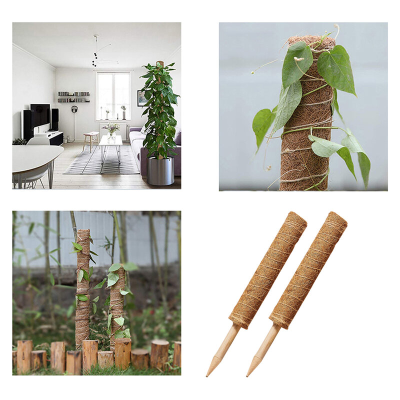Bâton de coco pour plantes grimpantes, Totem de jardinage sûr pour plantes grimpantes, bâton de vigne de palmier Support pour plantes 30CM