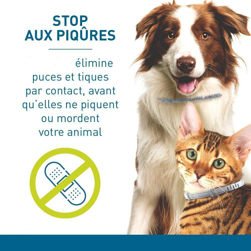 Collar veterinario antipulgas y garrapatas para perros pequeños y grandes, accesorio antiparasitario para gatos, envío directo